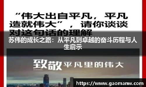 苏伟的成长之路：从平凡到卓越的奋斗历程与人生启示